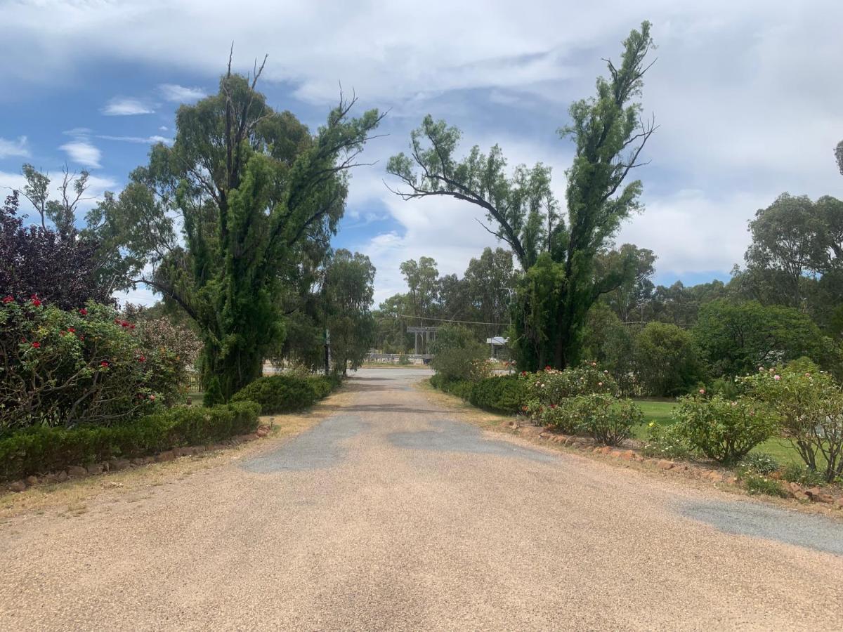Newell Motor Inn Narrandera Esterno foto