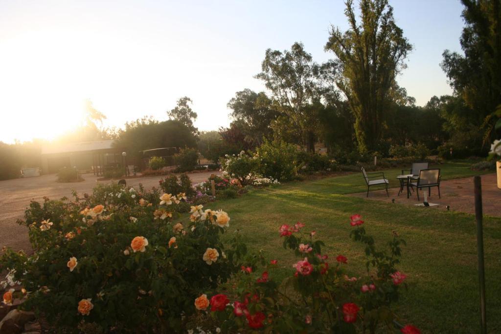 Newell Motor Inn Narrandera Esterno foto